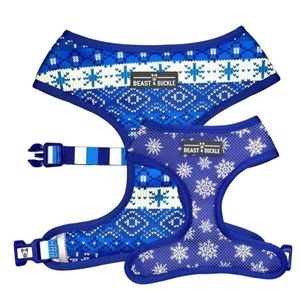 Matching Dog harness and leash set